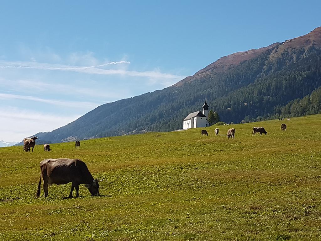 Chalet Daheim Reckingen Экстерьер фото